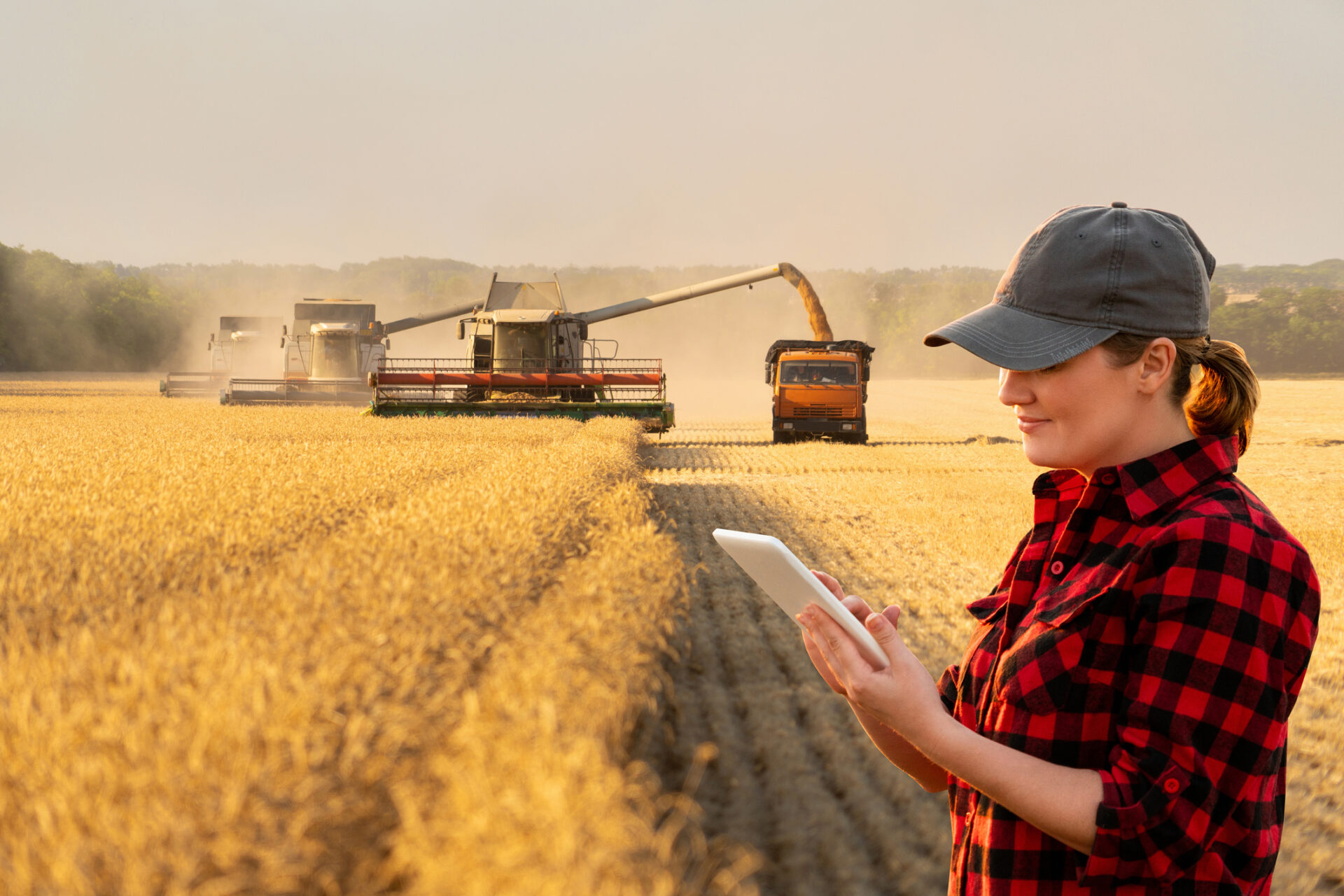 Unlocking Growth in Agriculture: How Agribusiness Consulting Companies Drive Success in Global Markets